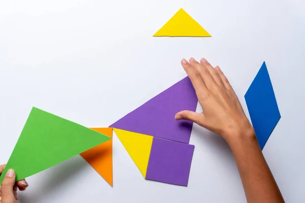 Puzzle or tangram game, made with colored paper or cardboard at school or at home, for children