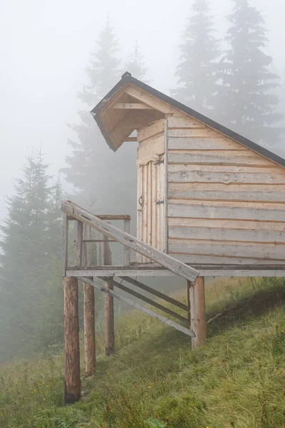 Drewniany Dom Wśród Drzew Iglastych Mgle Koncepcja Zrównoważonego Rozwoju Ekoturystyki — Zdjęcie stockowe