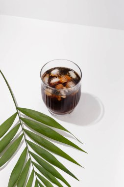 Rum and cola cocktail with ice on a white background with a green plant branch. Vertical image