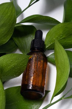 Close-up of a brown glass bottle of herbal serum lying on a green leaf with water drops, vertical image. Natural organic skincare products concept, beauty and spa.