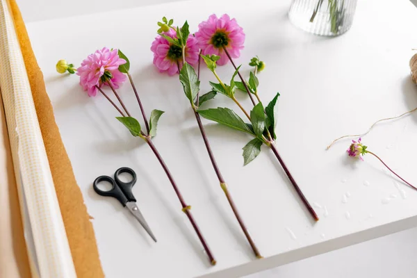 Zbliżenie Różowy Dahlia Nożyczka Biały Stół Przygotowanie Bukiet Kwiaciarnia Makieta — Zdjęcie stockowe