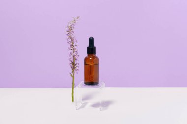 Mor arka planda çiçek ve yağlı cam saydam yüz serumu. Doğal cilt bakımı kavramı