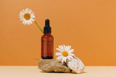 Kahverengi cam maket kavanozu ve papatya çiçekli taş üzerine yüz serumu. Doğal kozmetik, yaşlanma önleyici bakım ve nemlendirme kavramı