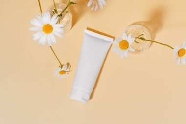 Beyaz krem ya da krem tüpü, bej rengi izole edilmiş arka planda papatya çiçekleri ile birlikte. Doğal kozmetik kavramı, güneş koruması