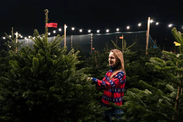 Süveter giyen genç bir kadın yeni yıl tatili için bir Noel ağacı seçer. Kış pazarı kavramı ve Noel hazırlığı