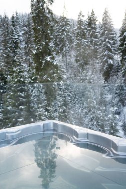 Bir jakuzinin dikey görüntüsü ve Noel ağaçları arasında termal kaplıca. Sıcak suda iyileşme ve rahatlama kavramı.