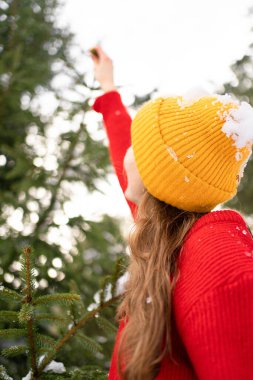 Arkadan genç bir kadın bir Noel ağacının dalına uzanıyor ve karlı ve eğleniyor. Dikey görüntü. Yeni yıl tatili ve kış aktiviteleri kavramı