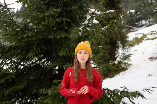 Dışarıdaki yeşil Noel ağaçlarının arka planında kartopu oynadıktan sonra örülü süveter giyen genç bir kadının portresi. Kış aktiviteleri kavramı