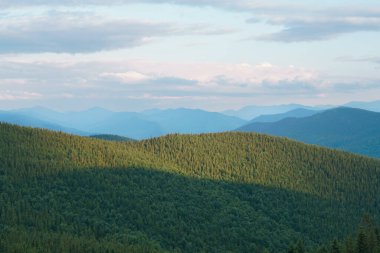 Güneş ışınlarıyla aydınlanan kozalaklı bir orman ve dağların manzarası ve bulutlu mavi bir gökyüzü. Tasarımın için resim