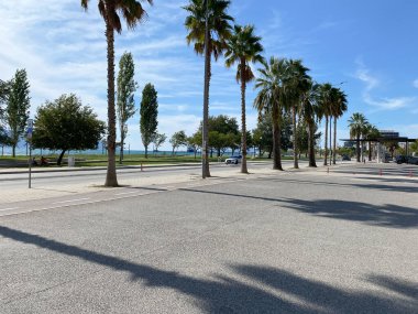 Arnavutluk 'un Vlora kenti - 16 Ocak 2025: Palmiye çizgili kaldırımlar ve deniz ufkuyla sıcak bir sahil kentinde manzaralı bulvar. Tatil atmosferi tatil köyü hayatı ve huzurlu tatiller için mükemmel..