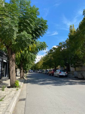 Vlora, Arnavutluk - 16 Ocak 2025: Arnavutluk 'ta arabalar, apartmanlar ve yeşil ağaçlarla dolu bir cadde. Güneydeki bir şehirde günlük yaşamı gösterir, makaleler veya kentsel tasarım modelleri için iyidir.