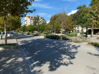 Arnavutluk 'un Vlora kenti - 16 Ocak 2025: Arnavutluk' ta binaları ve tipik yeşil santralleri olan bir caddenin gündüz görüntüsü. Makaleleriniz ya da tasarım düzeniniz için huzurlu bir atmosfer.