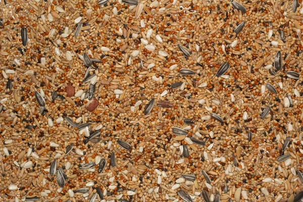 Parrot food mix from grains top view