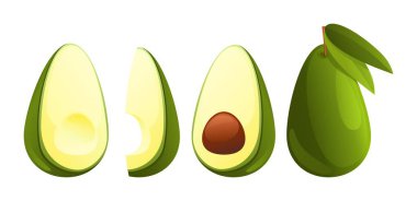 Yeşil yapraklı, farklı şekilli ve izole vektör sembollü avokado karikatürü çizimi