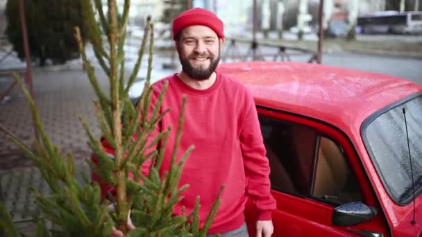 Hombre Barbudo Atractivo Suéter Rojo Sombrero Sostiene Árbol Navidad Sus — Vídeos de Stock