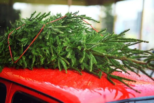 Árvore Natal Amarrada Telhado Carro Vermelho Close — Fotografia de Stock