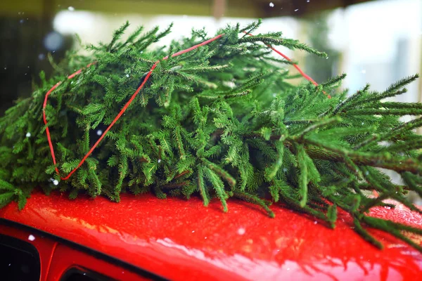 Árvore Natal Amarrada Telhado Carro Vermelho Close — Fotografia de Stock