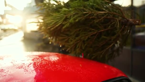 クリスマスツリーの赤い車の近くの屋根に縛ら — ストック動画