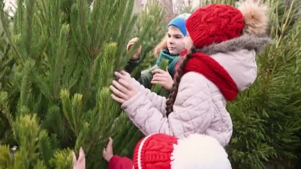 Bir Grup Çocuk Iki Kız Bir Oğlan Noel Ağacı Dükkanından — Stok video