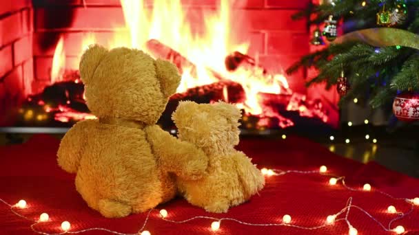 クリスマスライト クリスマスツリーを背景にニットの毛布の上に互いに抱き合って座っているテディベアのカップル — ストック動画