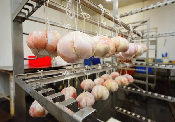 Close Raw Unprocessed Pork Delicacy Shape Hanging Rope Meat Factory — Zdjęcie stockowe