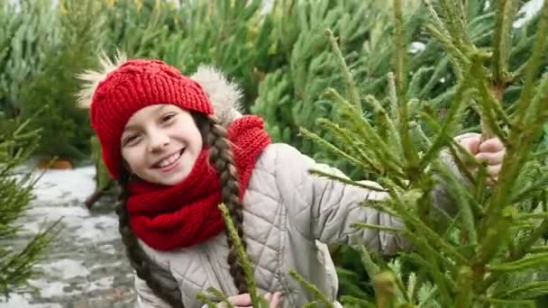 赤いニット帽の女の子とスカーフはクリスマスツリー市場の背景に笑顔とクリスマスツリーを選択します — ストック動画