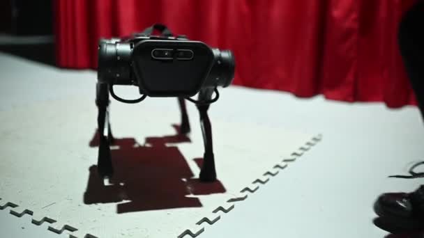 Діти Гладять Робота Собаку Який Виконує Команди Виставці Робототехніки — стокове відео