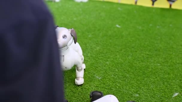 Children Look Robot Dog Puppy Robotics Exhibition — Vídeos de Stock