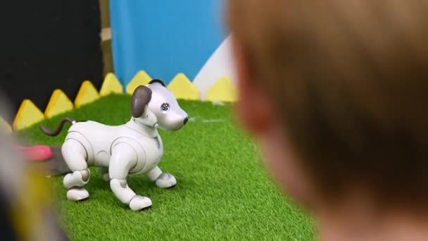 Παιδιά Κοιτάζουν Ένα Σκύλο Ρομπότ Ένα Κουτάβι Μια Έκθεση Ρομποτικής — Αρχείο Βίντεο