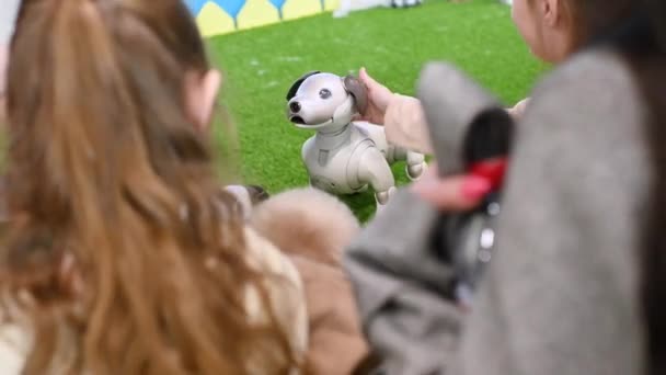 Children Visitors Robotics Exhibition Stroke Funny Robot Puppy — Vídeo de stock