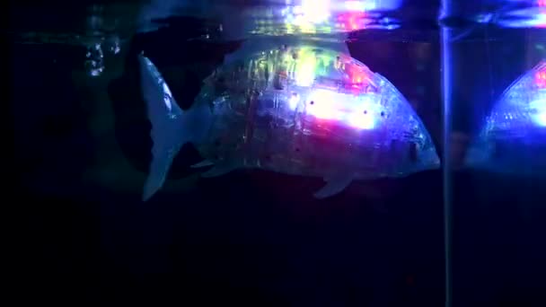 Robot Fish Swims Aquarium Robotics Exhibition Toy Fish Leds Body — Stock Video