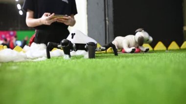 The spider robot demonstrates its skills at the robotics exhibition.