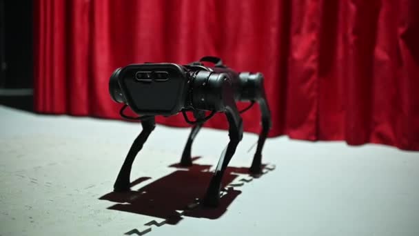Робот Собака Підходить Близько Камери Вигляд Листя Виставці Робототехніки — стокове відео