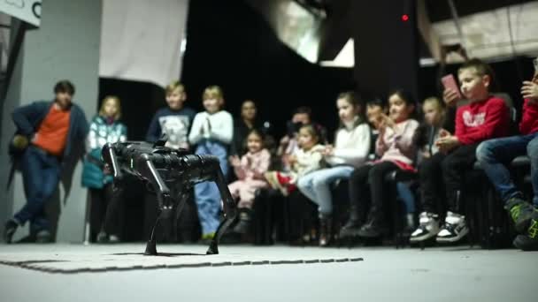 Rostov Don Ryssland December 2022 Ledarhund Robot Utför Kommandon Och — Stockvideo