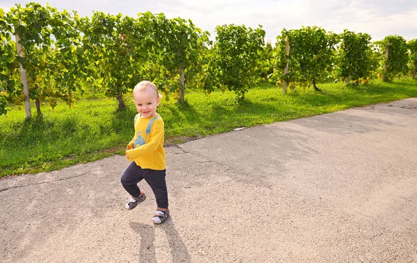 a small baby boy runs along the path and smiles against the background of vineyards.