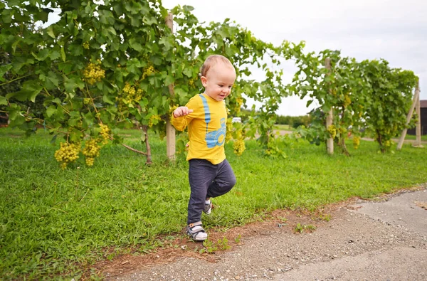 a small baby boy runs along the path and smiles against the background of vineyards.