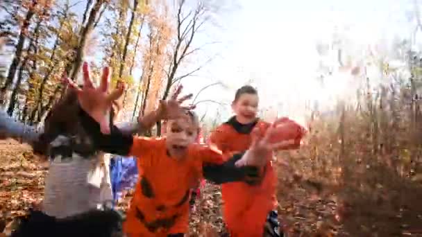 Group Preschoolers Halloween Costumes Running Background Autumn Forest All Saints — Stock Video