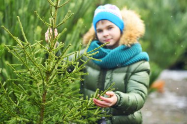 Şapkalı ve yeşil örgülü atkısı olan küçük bir çocuk gülümser ve bir Noel ağacı seçer.