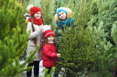 Bir grup çocuk - iki kız ve bir oğlan Noel ağacı dükkanından bir Noel ağacı seçiyorlar..