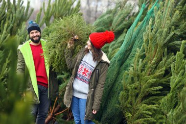 Çift - genç adam ve kadın Noel ağacı dükkanından bir Noel ağacı seçtiler.