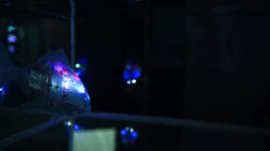 Rostov-on-Don, Russian Federation - December 27, 2022.Robot fish swims in the aquarium at the robotics exhibition. A toy fish with LEDs on the body.