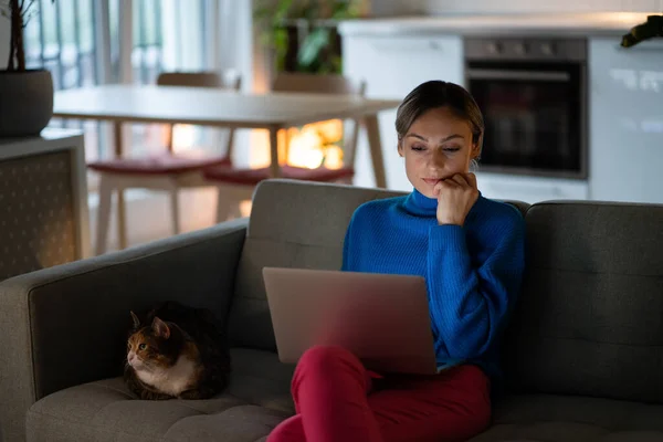Focused Businesswoman Blue Sweater Sits Looks Laptop Monitor Female Freelancer — Stock Photo, Image