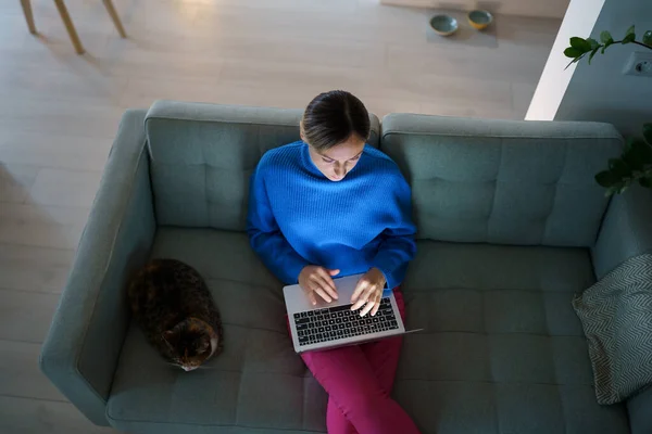 Enthusiastic young woman working at laptop reading online news on laptop. Caucasian female get message from employer. Excited girl browsing web while sit rest on couch next to cat. Job search concept.