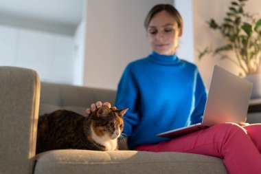 Sakin komik kedi, genç bayan sahibinin yanında kaygısız bir hayatın tadını çıkar. Hayvanlarla iletişimden gelen iyi ruh hali stresle başa çıkmada yardımcı olur. İşten ve okuldan kaytarma. Evcil hayvanlara özen ve ilgi.