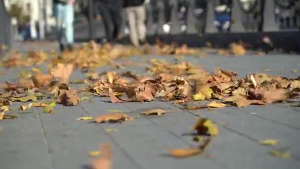 Folhas Amareladas Secas Jazem Chão Giram Vento Dia Outono Com — Vídeo de Stock