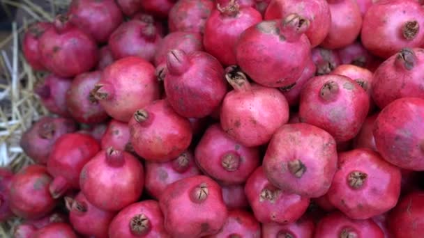 Pile Ripe Pomegranates Fruits Closeup Farmers Market Tbilisi Georgia — Stock Video