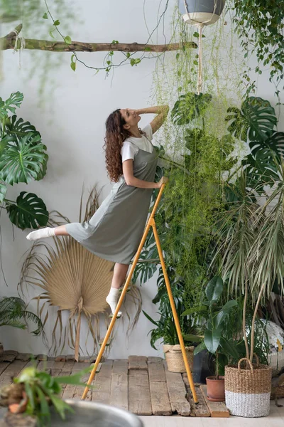 Мечтательная Самоуверенная Женщина Выращивает Растения Ухаживает Цветами Наслаждается Красотой Теплице — стоковое фото