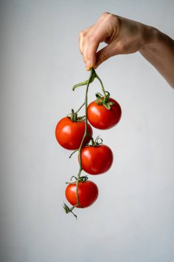 Taze kırmızı olgun domatesler açık gri arka planda bir bayanın elinde. Evde yemek pişirmek için sebze, restoran mutfağı. Sağlıklı beslenme, vitamin, vegan, iyi ruh hali için mevsimsel organik çiğ yiyecekler.