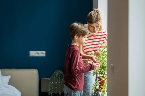 幼い母親は子供の息子に植物や花の世話をする方法を教えて 母親と小さな男の子は家の植物の葉を調べる家の窓の近くに立っている 光合成を子供に説明する親 — ストック写真