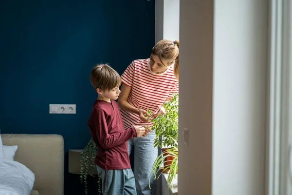 幼い母親は子供の息子に植物や花の世話をする方法を教えて 母親と小さな男の子は家の植物の葉を調べる家の窓の近くに立っている 光合成を子供に説明する親 — ストック写真